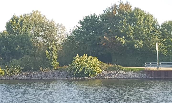 Steinmeister's Biergarten - Oskar am Kanal